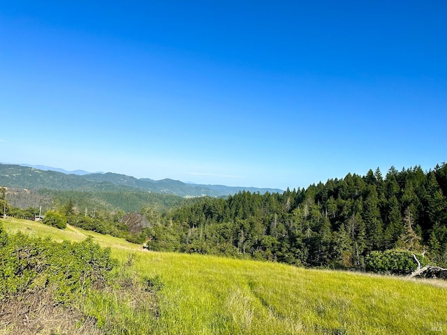 Listing photo 3 for 6355 First Gate Rd, Willits CA 95490