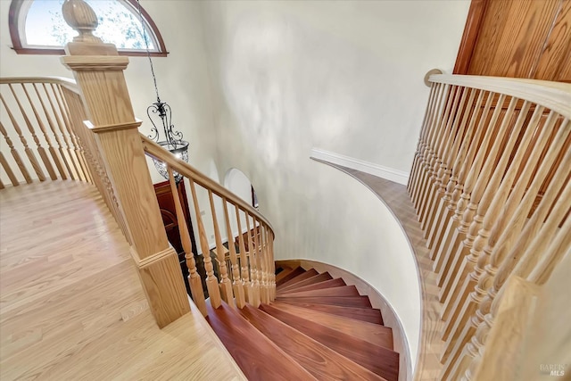 staircase featuring hardwood / wood-style floors