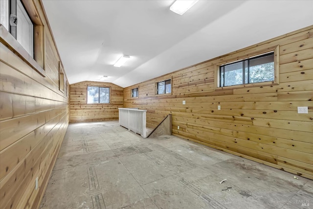 basement with wooden walls