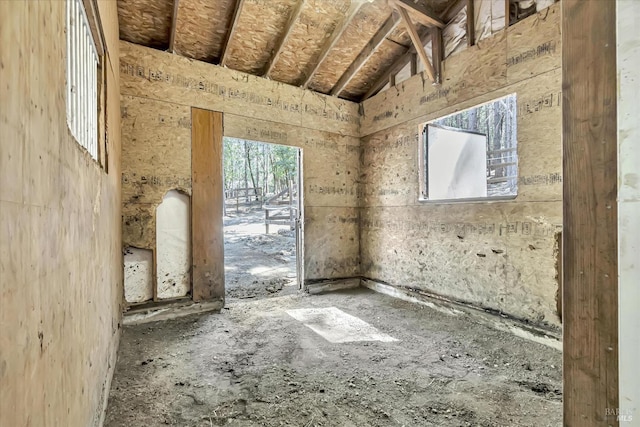 miscellaneous room featuring lofted ceiling