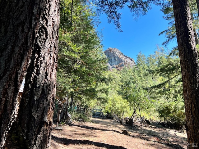 view of mountain feature