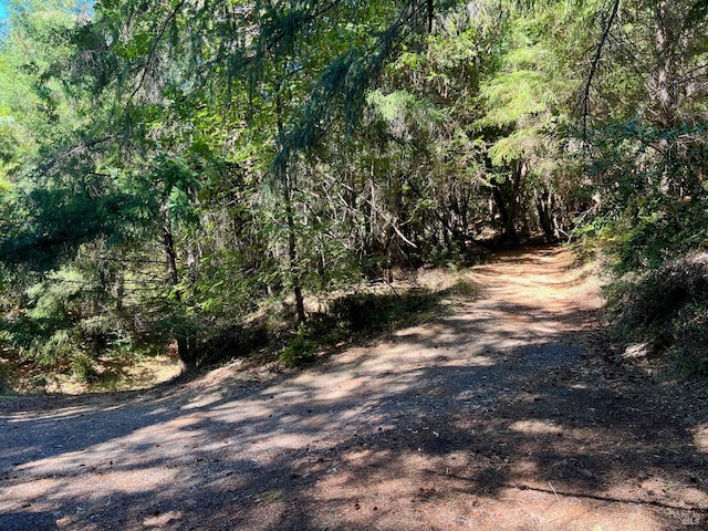 view of road