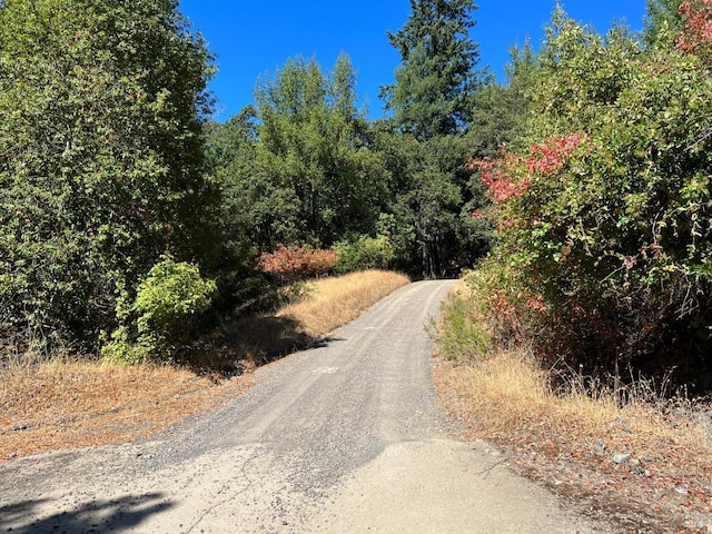 view of road