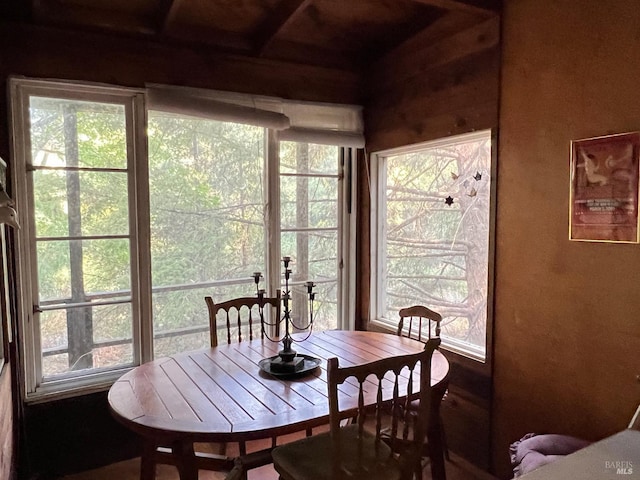 dining space featuring a healthy amount of sunlight