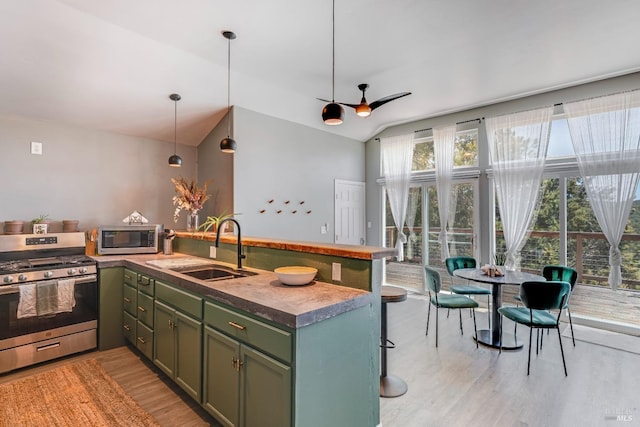 kitchen featuring a healthy amount of sunlight, stainless steel appliances, light wood-type flooring, and sink