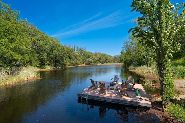 dock area featuring a water view