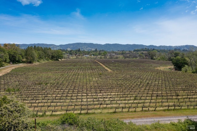 view of mountain feature featuring a rural view