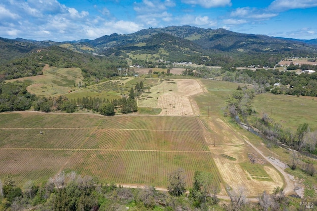 birds eye view of property with a mountain view and a rural view