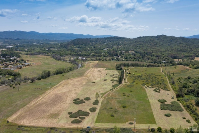 bird's eye view featuring a mountain view and a rural view