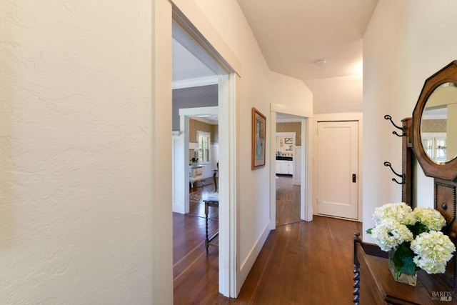 corridor featuring dark hardwood / wood-style flooring and lofted ceiling