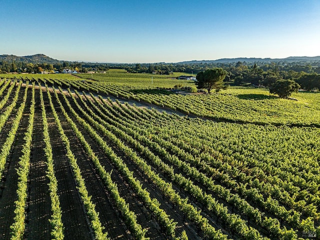 aerial view featuring a rural view