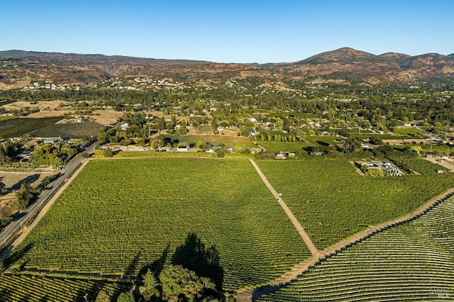 bird's eye view featuring a mountain view and a rural view