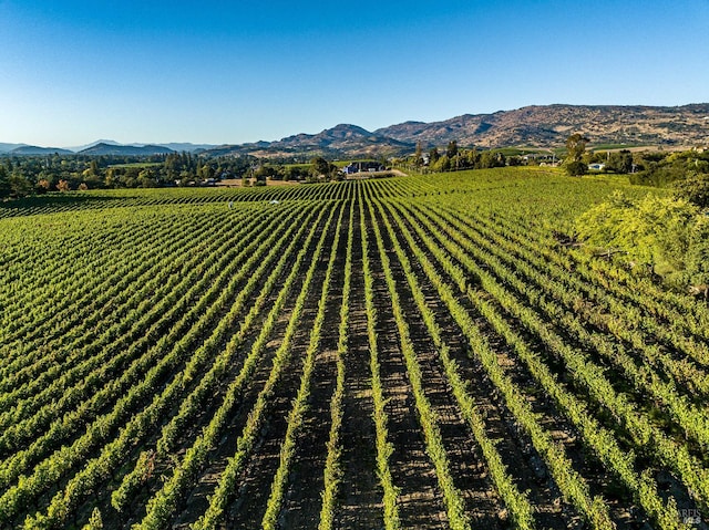 aerial view featuring a mountain view and a rural view