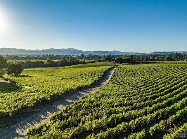 property view of mountains with a rural view