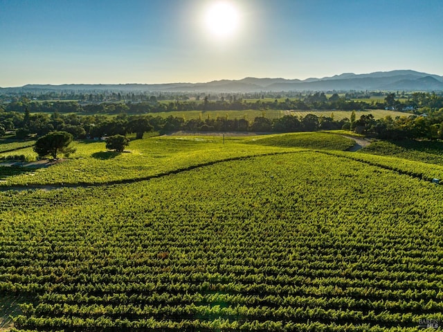 bird's eye view featuring a mountain view and a rural view