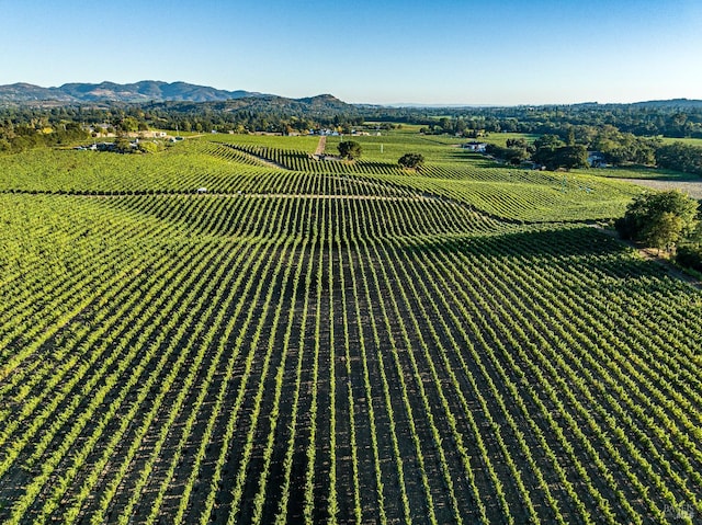 aerial view featuring a mountain view and a rural view