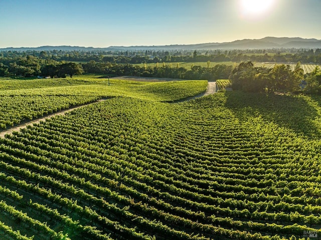 drone / aerial view featuring a rural view