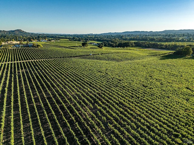 aerial view with a rural view