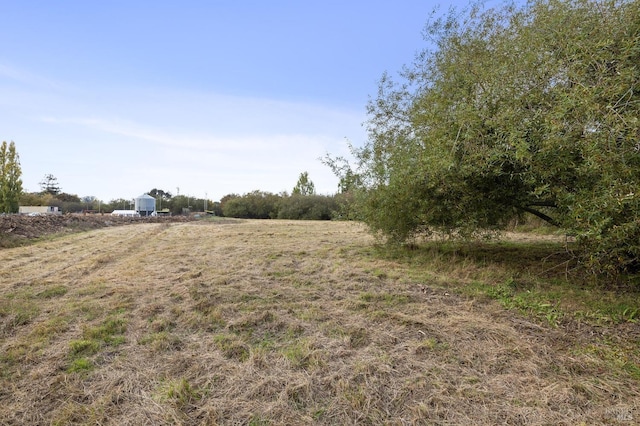 view of yard with a rural view