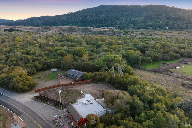 view of aerial view at dusk