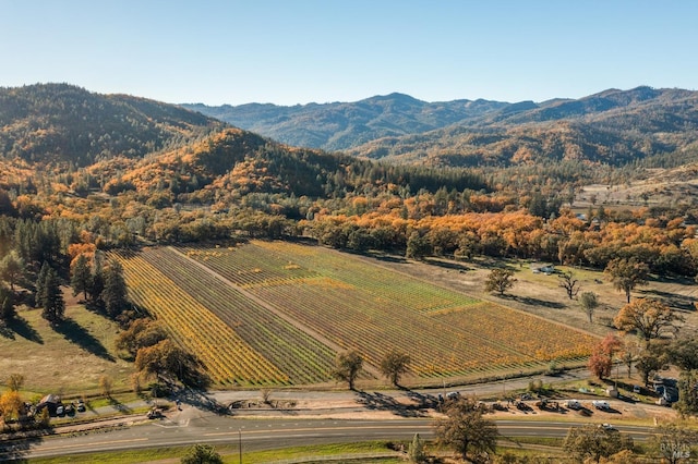 view of mountain feature featuring a rural view