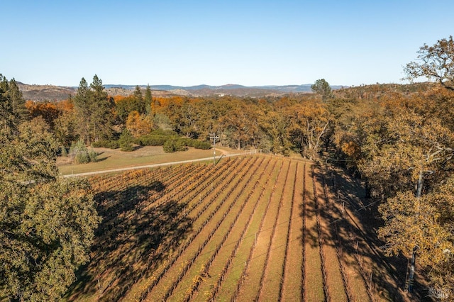 aerial view featuring a rural view