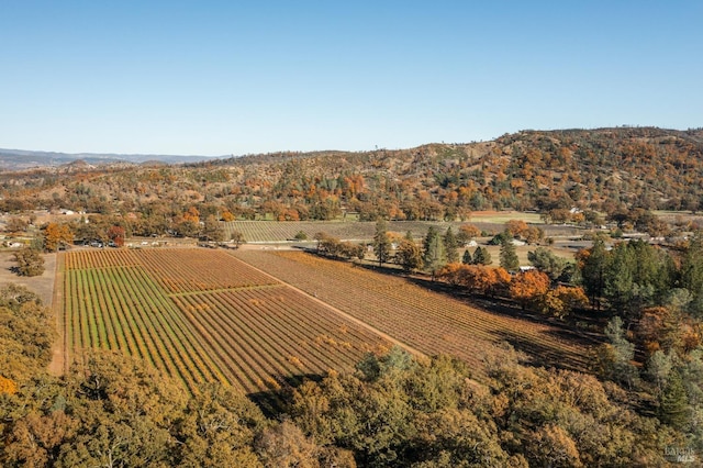 birds eye view of property with a rural view