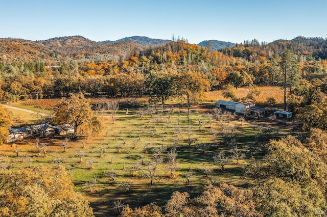 property view of mountains with a rural view