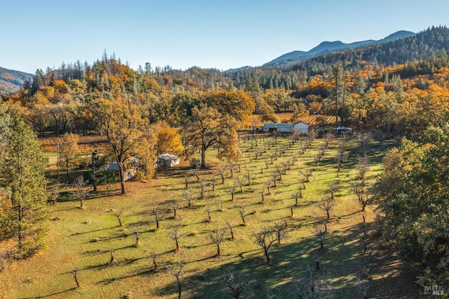 mountain view with a rural view