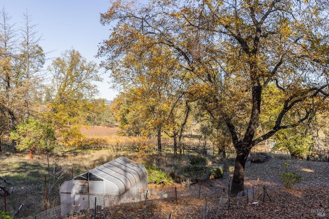 view of yard featuring a carport