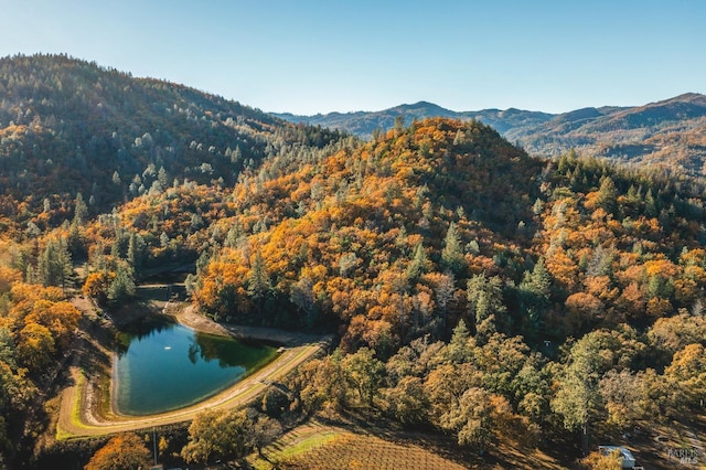 mountain view with a water view