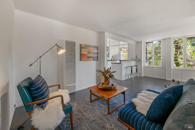 living room with dark hardwood / wood-style flooring