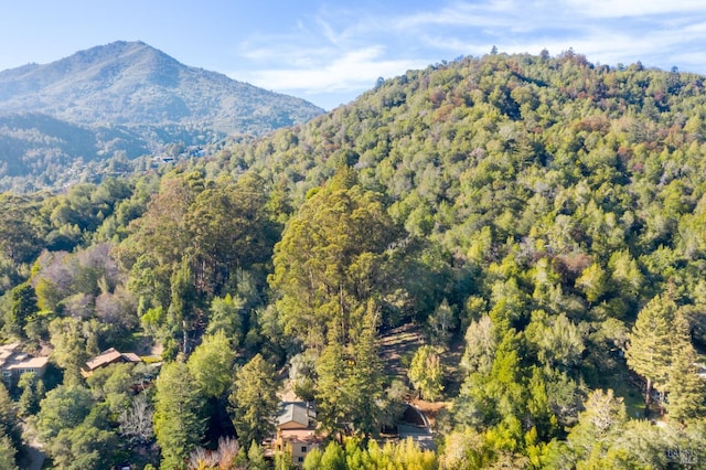 property view of mountains