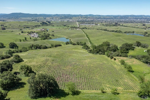 bird's eye view featuring a water and mountain view and a rural view