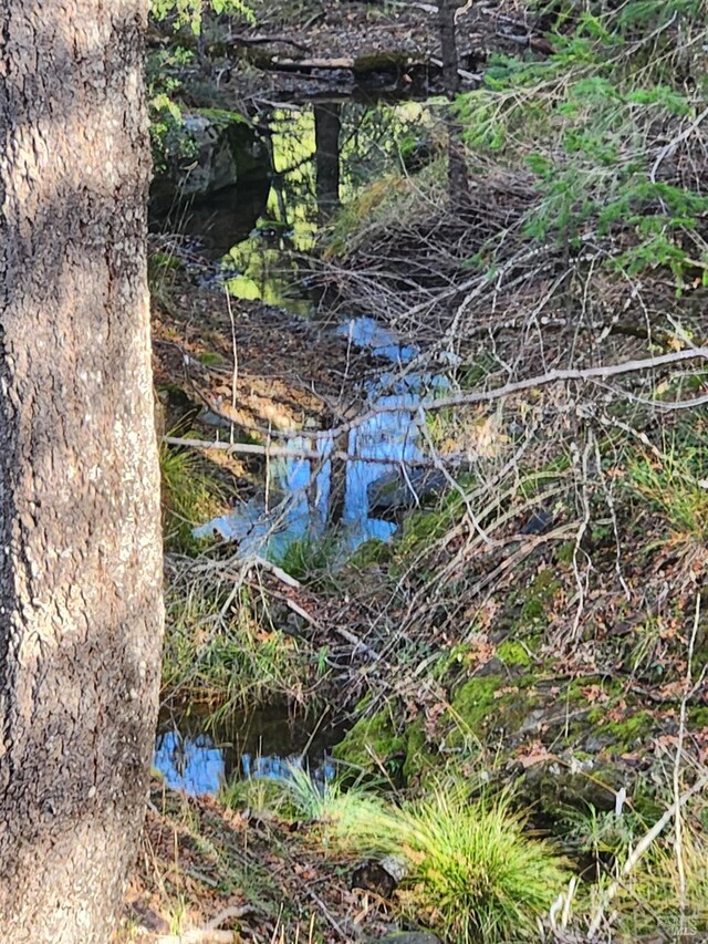 view of nature