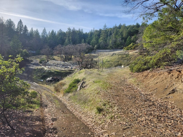 view of local wilderness