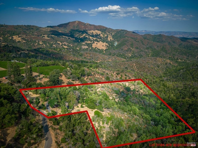 590 Wall Rd, Napa CA, 94558 land for sale