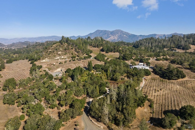 aerial view featuring a mountain view