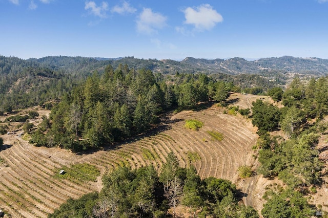 bird's eye view with a mountain view