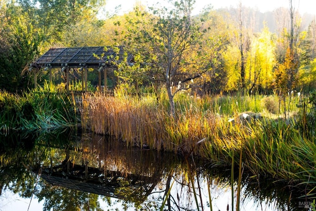 view of nature featuring a water view