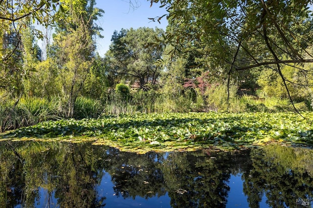 view of water feature