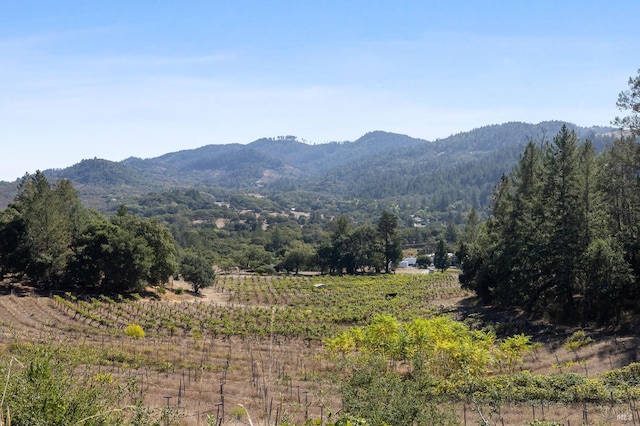 property view of mountains with a rural view