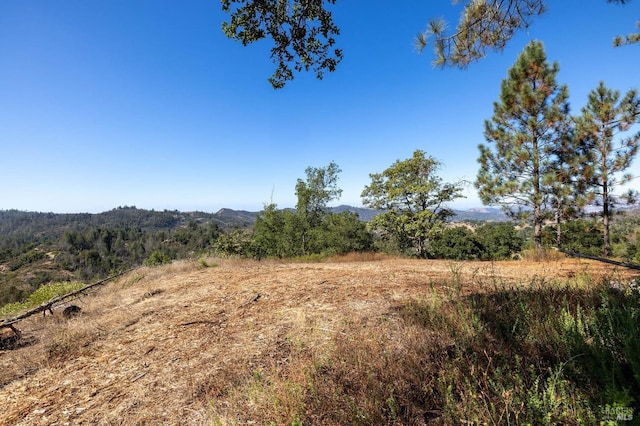 view of local wilderness