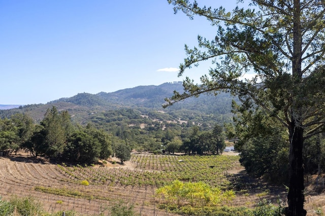 property view of mountains featuring a rural view