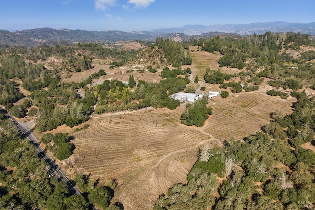 bird's eye view with a mountain view