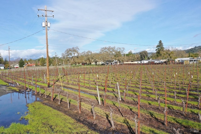 view of yard with a rural view