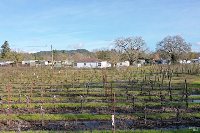 view of yard with a rural view