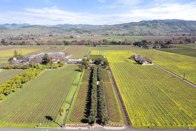 birds eye view of property with a mountain view and a rural view