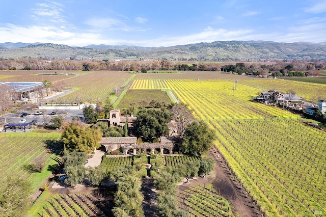 bird's eye view with a mountain view and a rural view