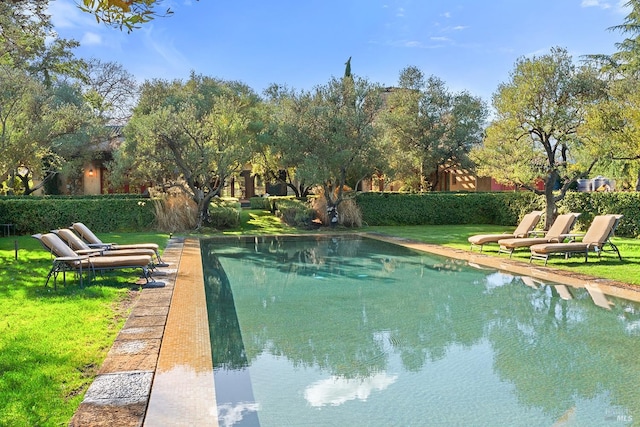 view of swimming pool with a yard